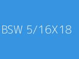 BSW 5/16X18